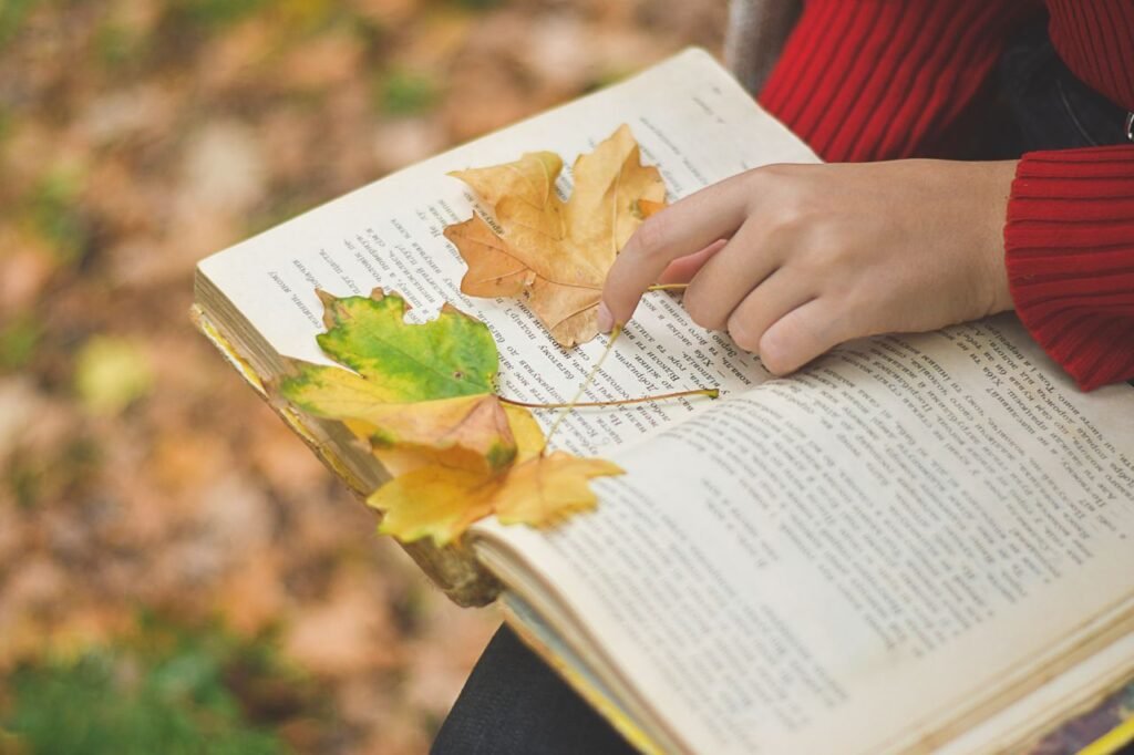top-5-novels-for-the-fall-season-2026
